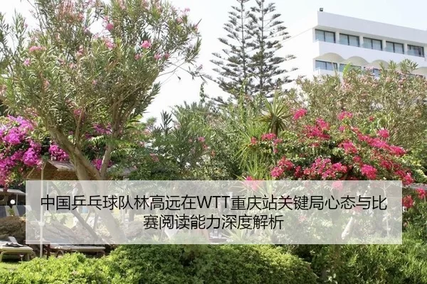 中国乒乓球队林高远在WTT重庆站关键局心态与比赛阅读能力深度解析