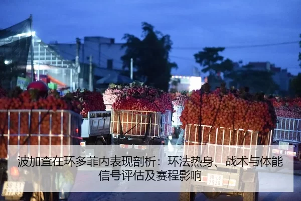 波加查在环多菲内表现剖析：环法热身、战术与体能信号评估及赛程影响