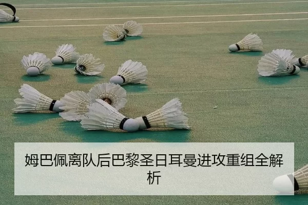 mu-ba-pei-li-dui-hou-ba-li-sheng-ri-er-man-jin-gong-chong-zu-quan-jie-xi-2-484.jpg