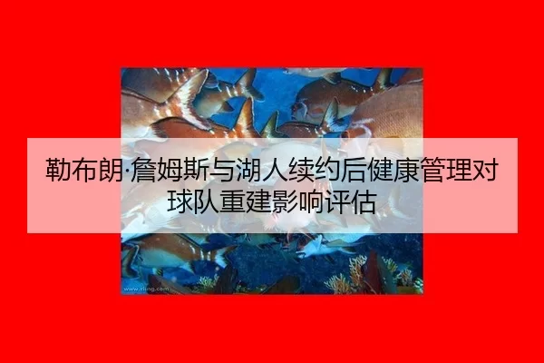 勒布朗·詹姆斯与湖人续约后健康管理对球队重建影响评估